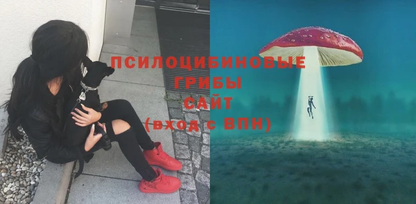 прущие крисы Лихославль