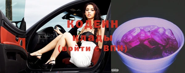 гидра Липки