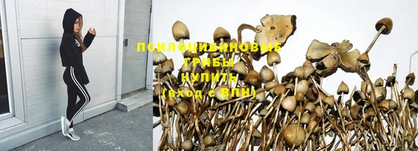 прущие крисы Лихославль