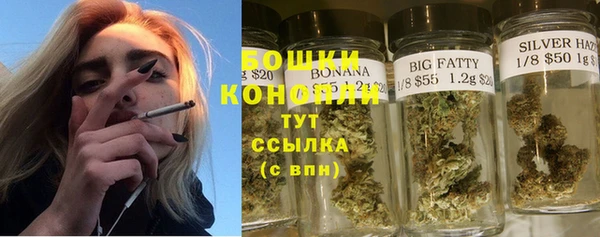 гидра Липки