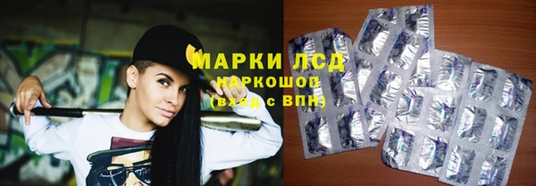 гидра Липки