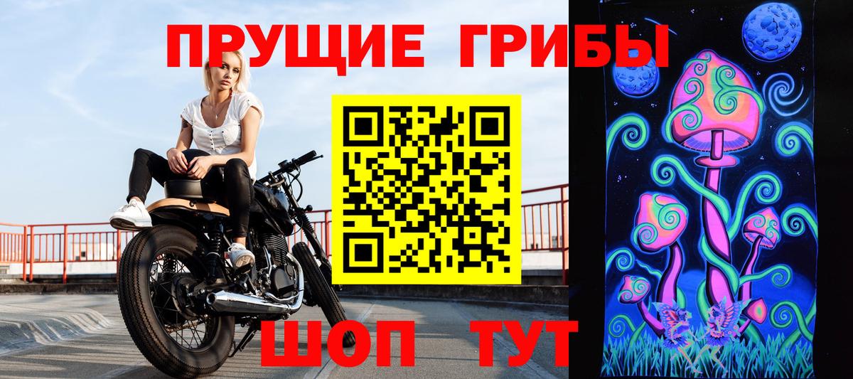 Галлюциногенные грибы GOLDEN TEACHER  Псилоцибиновые грибы ЛСД  Вход с VPN  Тайшет 