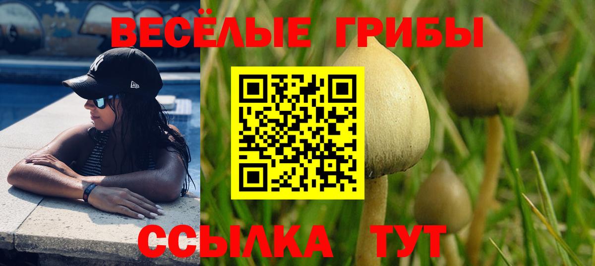 Галлюциногенные грибы Magic Shrooms Тайшет